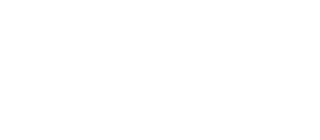AskwiselyAi